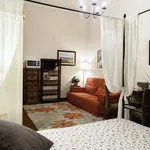 Rent 1 bedroom apartment in Florence