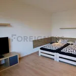 Pronajměte si 1 ložnic/e byt o rozloze 49 m² v Pilsen