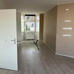 Rent 3 bedroom apartment of 65 m² in dordrecht