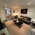 Rent 1 bedroom apartment in brussels