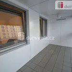 Rent 3 bedroom apartment of 80 m² in Praha