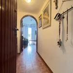 Rent 2 bedroom apartment of 80 m² in pietrasanta