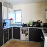 Rent 1 bedroom house in Chelmsford