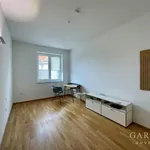 Rent 3 bedroom apartment of 100 m² in Leipzig