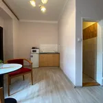 Rent 1 bedroom apartment in Prague