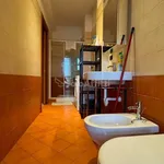 Rent 3 bedroom apartment of 80 m² in Torino