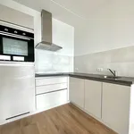 Rent 2 bedroom apartment of 80 m² in Laakhaven-Oost