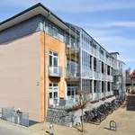 Rent 2 bedroom apartment of 48 m² in Odense