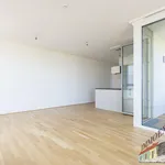 Miete 3 Schlafzimmer wohnung von 71 m² in Vienna