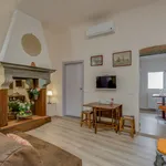 Rent 1 bedroom apartment of 50 m² in Florence