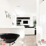 Rent 1 bedroom apartment in Brno