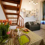 Rent 2 bedroom apartment of 45 m² in Milano