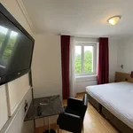 Miete 1 Schlafzimmer wohnung von 20 m² in Zürich