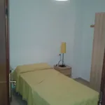 Rent a room in Alicante']