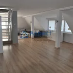 Rent 10 bedroom house of 480 m² in SZCZECIN