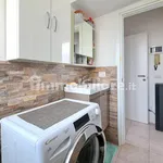 Rent 1 bedroom apartment of 29 m² in Pavia