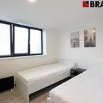 Rent 2 bedroom apartment of 33 m² in Brno