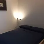 Rent 1 bedroom apartment in milan