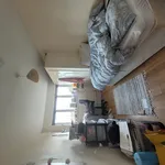 Rent 4 bedroom house in Worcester