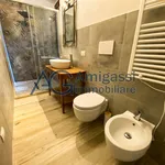 Rent 2 bedroom apartment of 54 m² in Bergamo