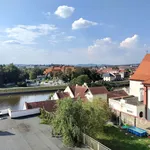 Rent 3 bedroom apartment of 125 m² in Písek