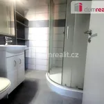 Rent 2 bedroom apartment of 65 m² in Zlín