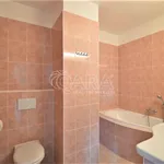 Rent 1 bedroom apartment of 32 m² in Praha