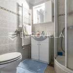 Rent 1 bedroom apartment of 60 m² in Zagreb