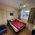 Rent 4 bedroom house in Worcester