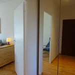 Rent 2 bedroom apartment of 49 m² in Leipzig