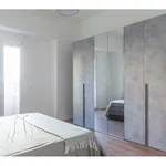 Rent 2 bedroom apartment of 55 m² in Milano