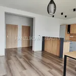 Pronajměte si 3 ložnic/e byt o rozloze 107 m² v Hluboká nad Vltavou