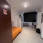 Rent 13 bedroom apartment in Trento