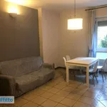 Rent 3 bedroom apartment of 95 m² in Milan