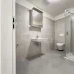 Rent 1 bedroom apartment in Brno