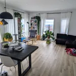  appartement avec 4 chambre(s) en location à Sherbrooke