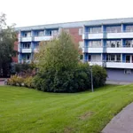 Rent 2 rooms apartment of 63 m² in Avesta