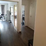 Huur 1 slaapkamer appartement in Antwerpen