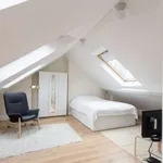 Kamer van 500 m² in brussels