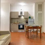 Rent 1 bedroom apartment in Florence