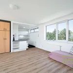 Rent 2 bedroom apartment of 60 m² in Prague