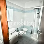 Rent 2 bedroom apartment of 50 m² in Novara