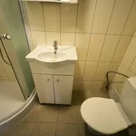 Rent 1 bedroom apartment in Děčín