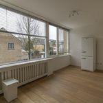 Rent 6 bedroom house of 170 m² in Zeestratenbuurt