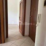 Rent 2 bedroom apartment of 60 m² in Alessandria