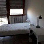 Rent a room in bologna