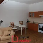 Rent 1 bedroom apartment in Šternberk