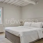 Rent 3 bedroom apartment of 82 m² in Lucca