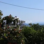 Rent 1 bedroom apartment of 55 m² in Agia Marina