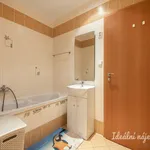 Rent 3 bedroom apartment in Praha 9